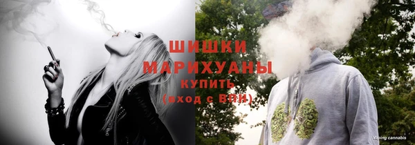 прущие грибы Волоколамск