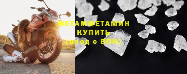 прущие грибы Волоколамск