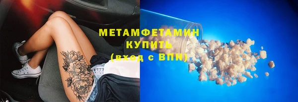 прущие грибы Волоколамск