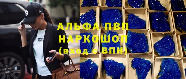 прущие грибы Волоколамск