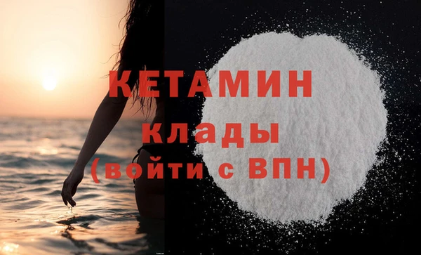 прущие грибы Волоколамск