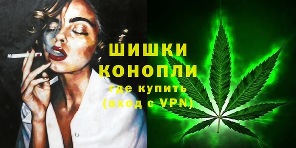 прущие грибы Волоколамск