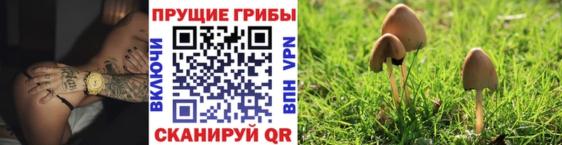МЕГА ссылки  Обнинск  Псилоцибиновые грибы прущие грибы  цена наркотик 